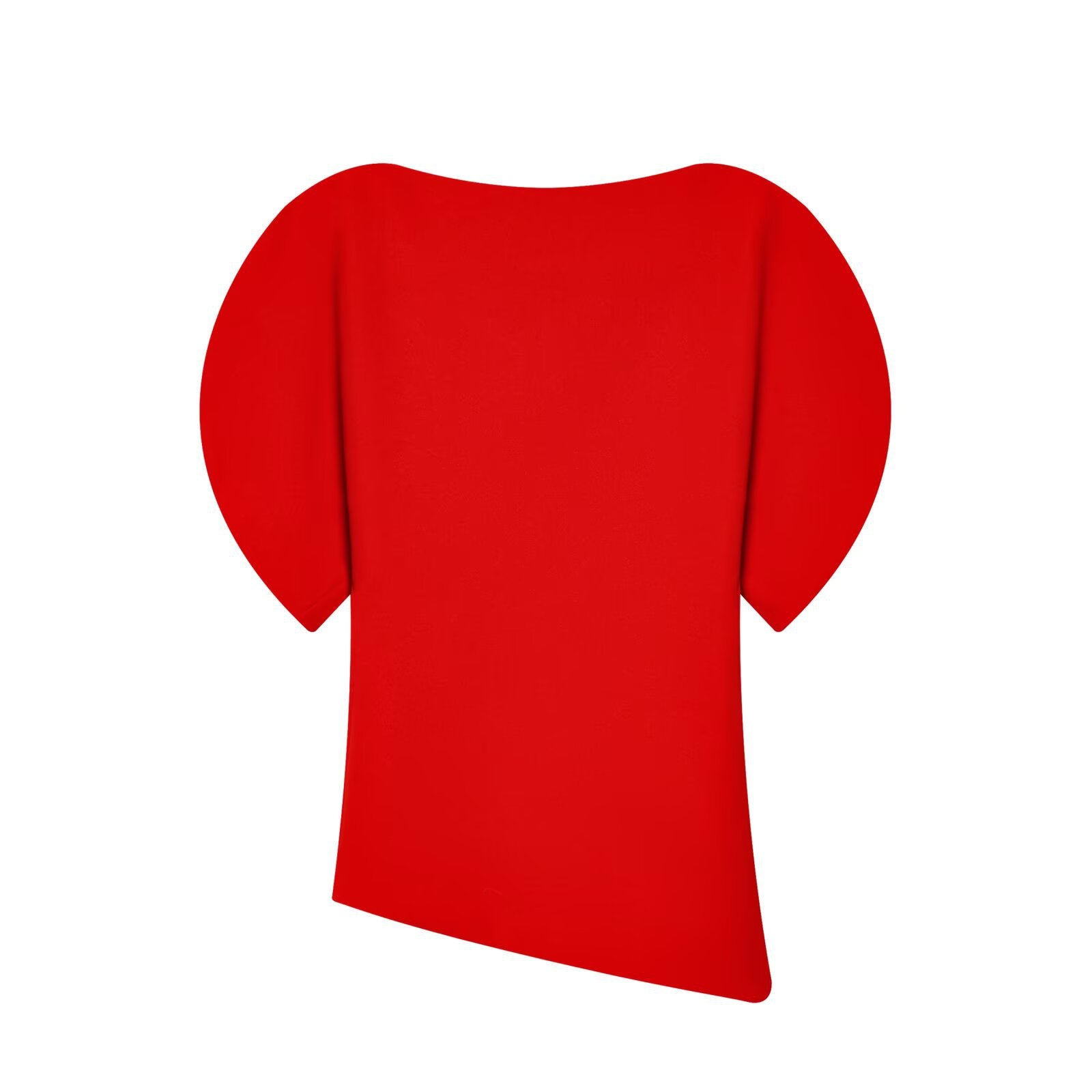 Asymmetric Puff Sleeve Top with Modern Silhouette