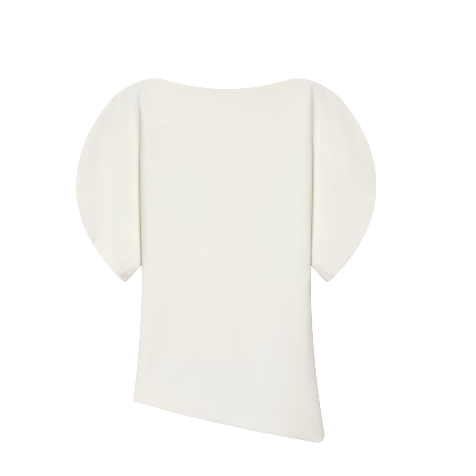 Asymmetric Puff Sleeve Top with Modern Silhouette